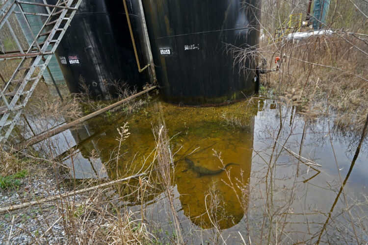 Report: Plugging orphan wells in Appalachia could create 16,000 jobs